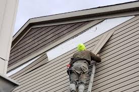 Best Historical Building Siding Restoration  in South Taft, CA